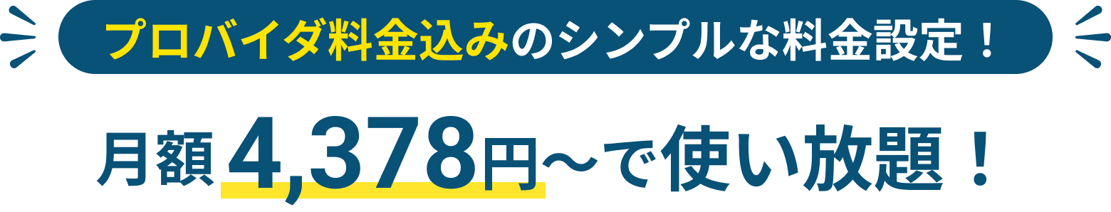 プロバイダ料金込みのシンプルな料金設定 月額4,378円～で使い放題